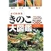 �悭�킩�邫�̂���}�Ӂ\�ꏊ ���� �� �E�q