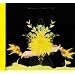 Last Live ������ NO FUTURE [DVD]