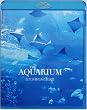 THE AQUARIUM ���吅���̂��鐅���� [Blu-ray]