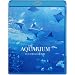 THE AQUARIUM ���吅���̂��鐅���� [Blu-ray]