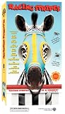  Racing Stripes