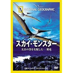 �i�V���i�� �W�I�O���t�B�b�N[DVD] �X�J�C�E�����X�^�[ ���Â̋���x�z�����\����