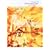 �C�m�Z���X�̏�i Animated Clips [DVD]