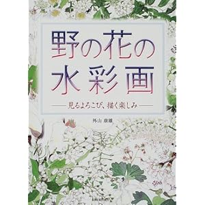 ��̉Ԃ̐��ʉ�\�����낱�сA�`���y����