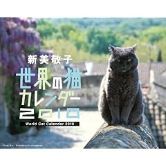 2010���E�̔L�J�����_�[
