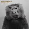 Baboon Moon
