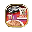 シーザー 11歳からの吟撰ビーフ ビーフ 100g×24個入