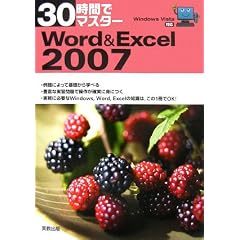 30���ԂŃ}�X�^�[Word & Excel 2007