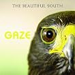 Gaze