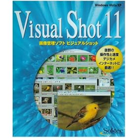Visual Shot 11