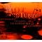 king Tubby�̏��VDUB