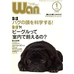 wan (����) 2008�N 01���� [�G��]