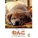 ��� THE MOVIE [DVD]