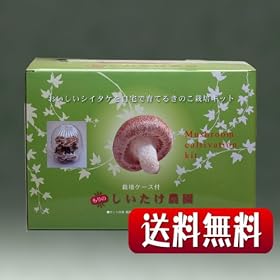 �y���������z����̂��������_���������֗��ȍ͔|�e��t