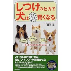 �����̎d���Ō��͂ǂ�ǂ񌫂��Ȃ�\���_�i���E��������E�g�C���c�������N�Z�͐��܂������Ȃ�! (SEISHUN SUPER BOOKS)