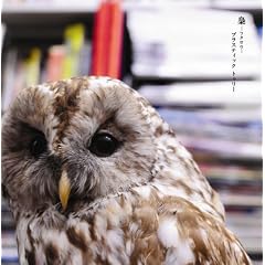 ��(��������A)(DVD�t)