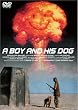 ���N�ƌ� [DVD]