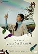 �V���R���̌������E �f���b�N�X�� [DVD]