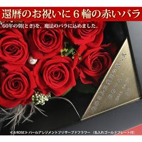 �җ�j�� �� �Ԃ��o�� �p�[�� �A�����W�����g �v���U�[�u�h�t�����[ �� �͂�Ȃ����@�̂��Ԃ� �җ�j�� �v���[���g �L�O�� ������