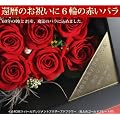 �җ�j�� �� �Ԃ��o�� �p�[�� �A�����W�����g �v���U�[�u�h�t�����[ �� �͂�Ȃ����@�̂��Ԃ� �җ�j�� �v���[���g �L�O�� ������