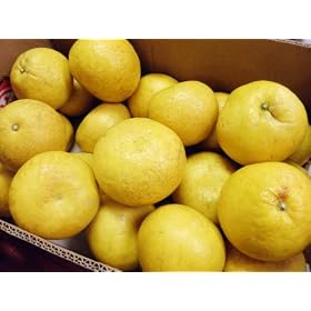 �󂠂�y�����U�@10����