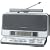 Panasonic TV(1ch-12ch)/FM/AMラジオ RF-U700-S