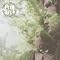 Quiet Quotations Best Music 2007