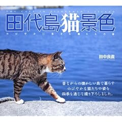 �c�㓇�L�i�F