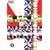 �P�C�]�N(1) [DVD]