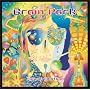 BRAIN PARK