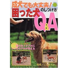 �����ł����v!���������̂�����Q&A