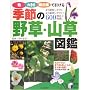 �G�߂̖쑐�E�R���}�Ӂ\�F�E�傫���E�J�ԏ��ň����� (���pBEST BOOKS)