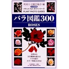 �o���}��300 (�v�����g�t�H�g�K�C�h�V���[�Y)
