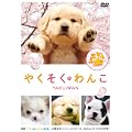 �₭������� [DVD]