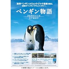 �y���M������ [DVD]