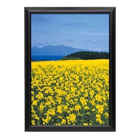 HAKUBA �f�W�^���A���~�t���[�� �y�I���A A4 �u���b�N 507751