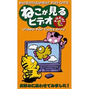 【クリックで詳細表示】ねこが見るビデオ トリだけ！ 12494