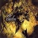 Goldenvine(DVD�t)