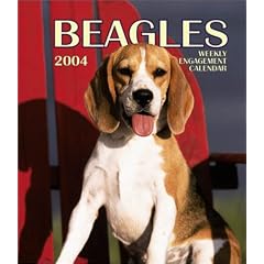 Beagles 2004 Calendar