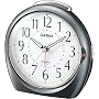 CASIO (�J�V�I) �ڊo�����v �A�i���O TQ-378-8JF