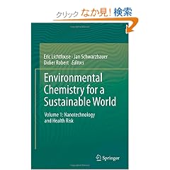 Environmental Chemistry for a Sustainable World: Nanotechnology and Health Risk