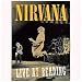 Live at Reading [DVD] [Import]