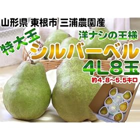 �y���������z �m�i�V�̉��l �V���o�[�x����5kg�i5�L���j �y�R�`���Y�z �y���Ε�ɍœK�z