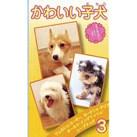 ���킢���q�� volume.3 [VHS]