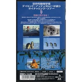 �X�̃����_�[�����h ��� VOL.5�u�ᗒ�ɕ������!�v [VHS]