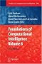 Foundations of Computational Intelligence (Studies in Computational Intelligence)