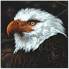 The Hawk Is Howling
