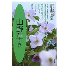 �R�쑐 �t (NHK��̉��| �V�ŁE���|���k)