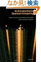 An Introduction to Quantum Computing