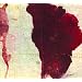 Like Drawing Blood [����E�̎��Ζ�t / �{�[�i�X�g���b�N���^ / ������] (BRC-197)